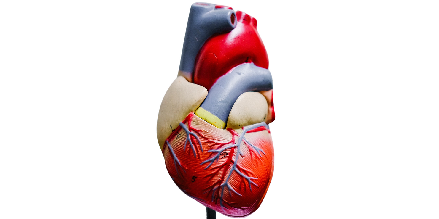  congestive heart failure
